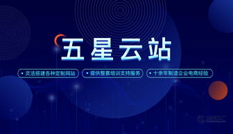 世界工厂网五星云站 助力建站公司4个月业绩增收百万的网络文化经营新引擎